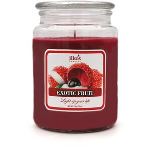 Duftkerze im Glas „Exotische Früchte“, großes Glas (18 oz)
