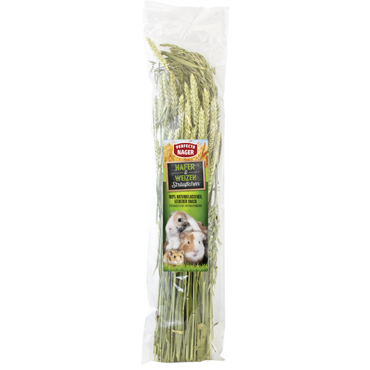 Perfecto Nager Hafer & Weizen Sträußchen 100 g